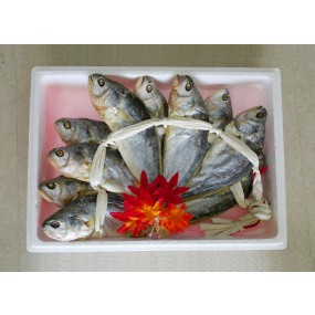 보리굴비.대(가정용)