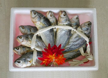 보리굴비.대(가정용)