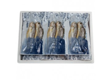 가정용(진공)3호